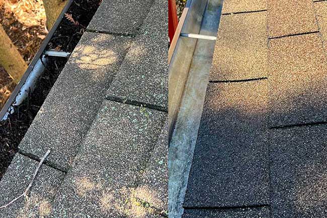 Residential Roof Cleaning Services
